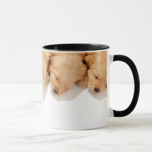 Line of Sleeping Golden Retriever Puppies Mug