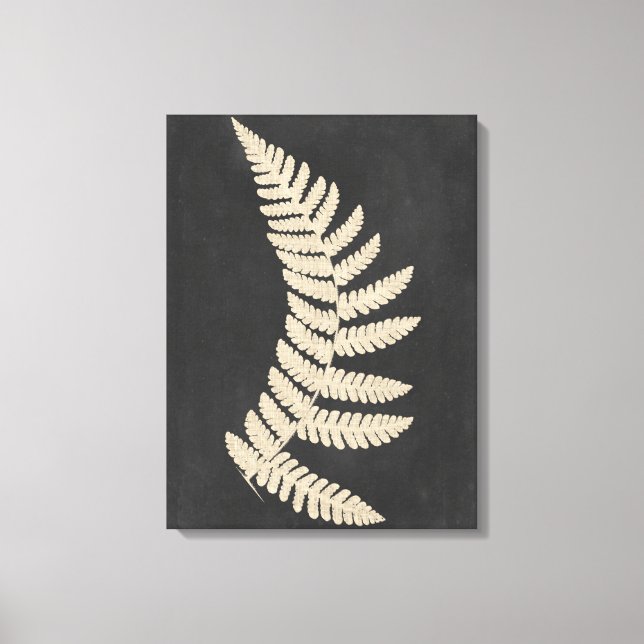 Linen Fern Canvas Print (Front)