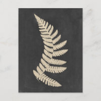 Linen Fern