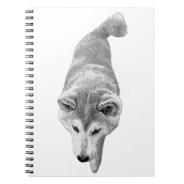 Lines of Purpose Notebook (Front)