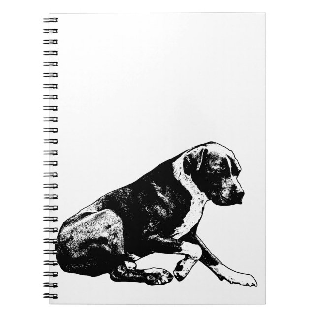 Linework for focus notebook (Front)