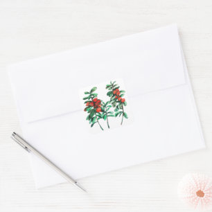 Lingonberry Square Sticker