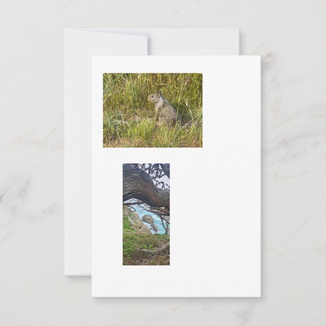 linked template images (Front)
