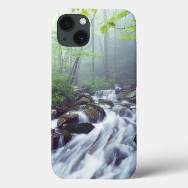 Linn Cove Creek cascading through foggy Case-Mate iPhone Case (Back)