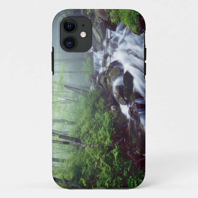 Linn Cove Creek cascading through foggy Case-Mate iPhone Case (Back)
