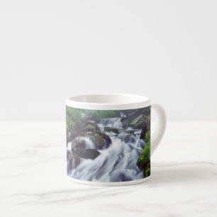 Linn Cove Creek cascading through foggy Espresso Cup