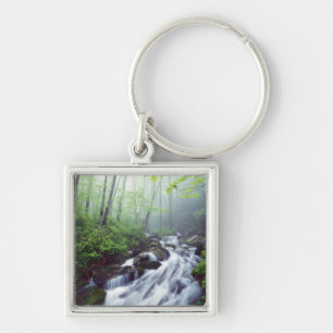 Linn Cove Creek cascading through foggy Key Ring