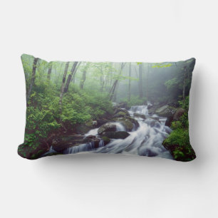 Linn Cove Creek cascading through foggy Lumbar Cushion