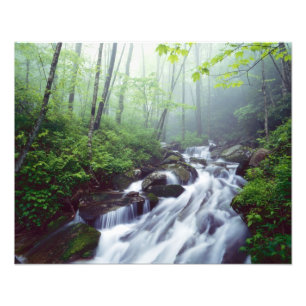 Linn Cove Creek cascading through foggy Photo Print