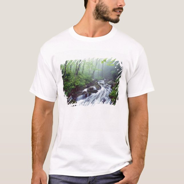 Linn Cove Creek cascading through foggy T-Shirt (Front)