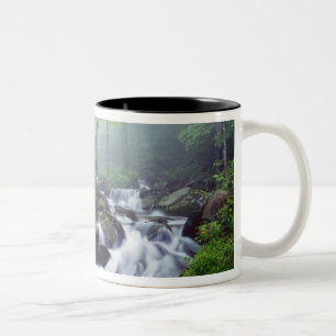 Linn Cove Creek cascading through foggy Two-Tone Coffee Mug