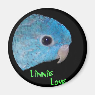 Linnie Love Magnet