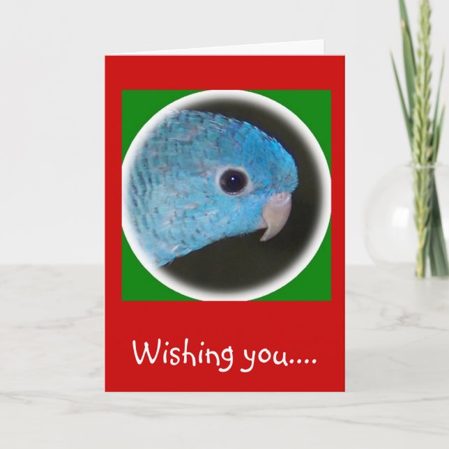 linnie parakeet christmas card happy holidays (Front)