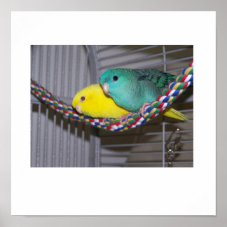 Linnies Perch Poster
