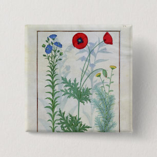 Linum, Garden poppies and Abrotanum 15 Cm Square Badge