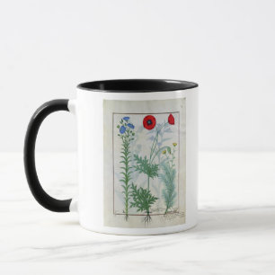 Linum, Garden poppies and Abrotanum Mug
