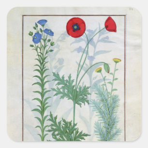 Linum, Garden poppies and Abrotanum Square Sticker