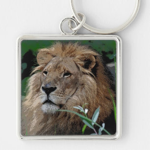Lion20150805 Key Ring
