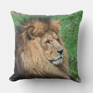 Lion 001 cushion