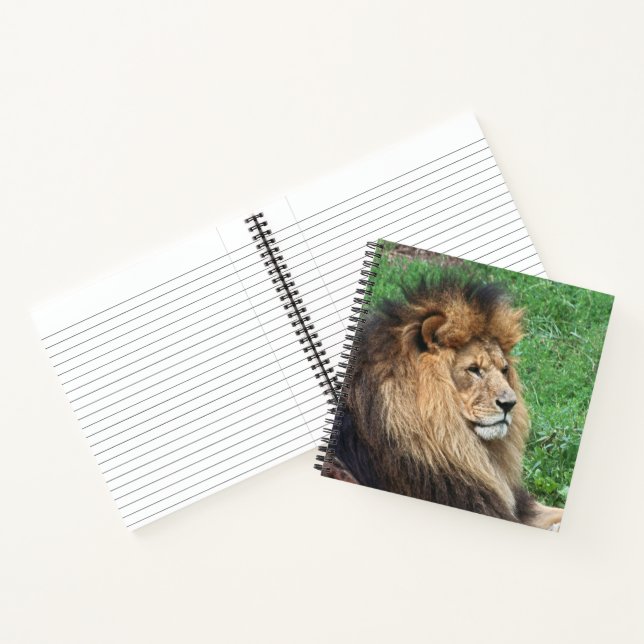 Lion 001 notebook (Inside)