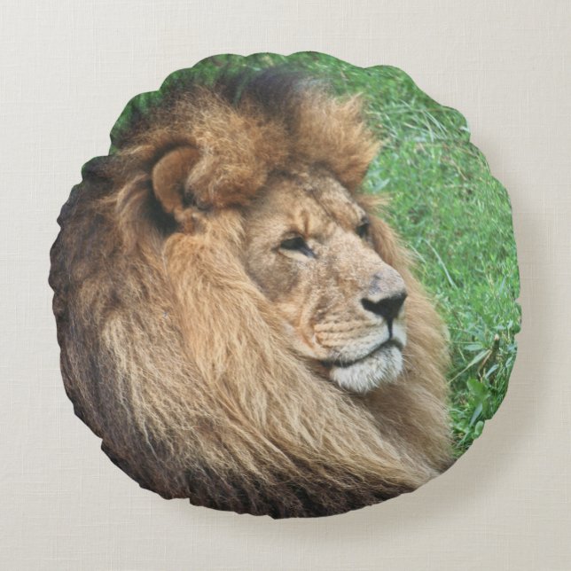 Lion 001 round cushion (Front)