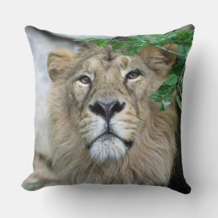 Lion 002 cushion