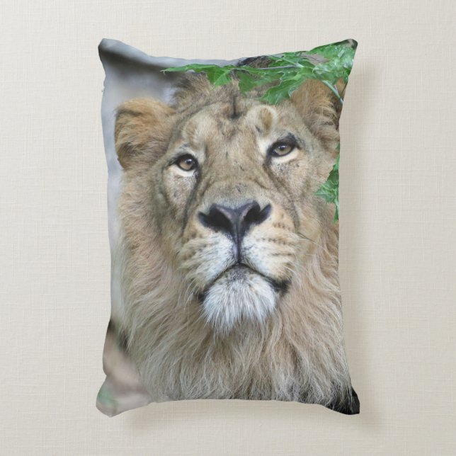 Lion 002 decorative cushion (Front(Vertical))