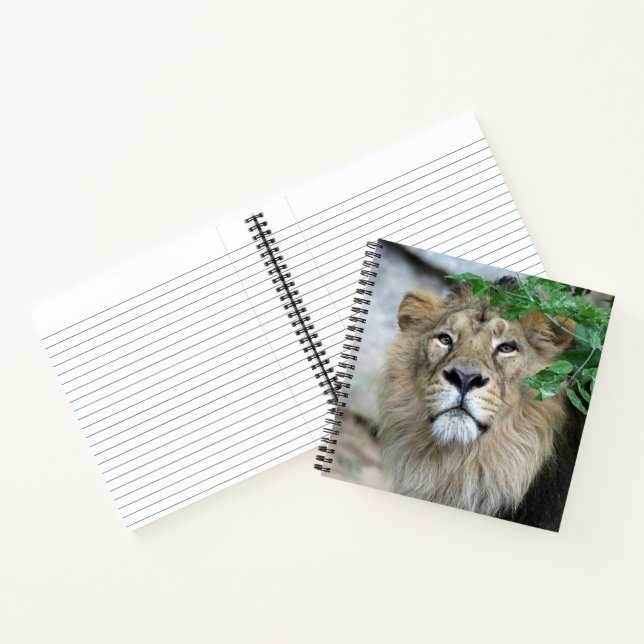 Lion 002 notebook (Inside)