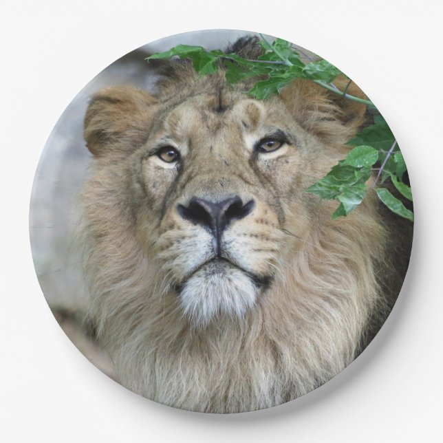 Lion 002 paper plate (Front)