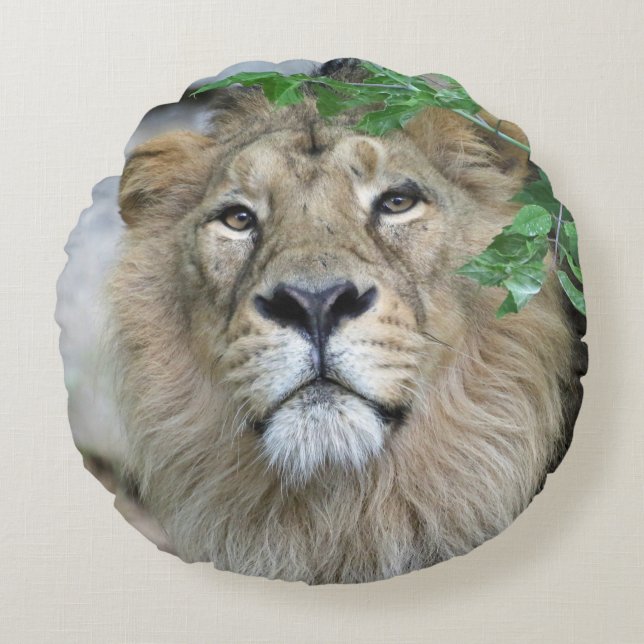 Lion 002 round cushion (Front)