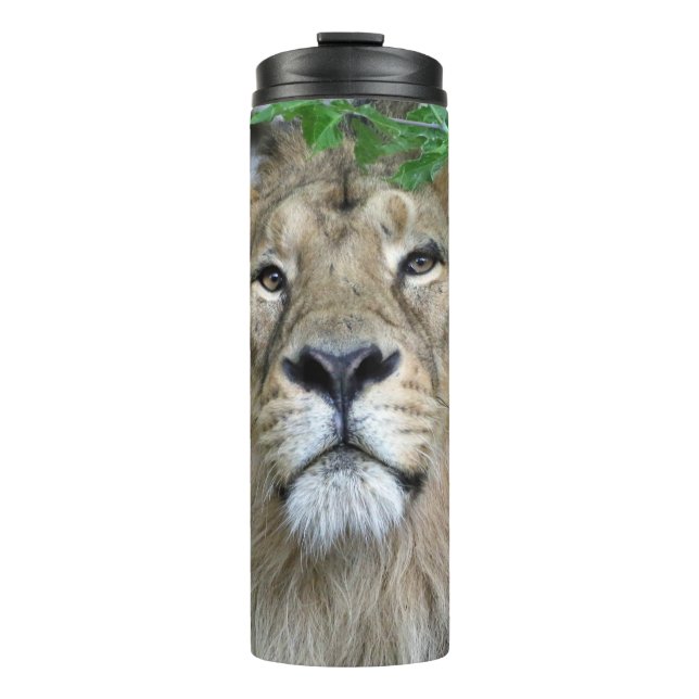 Lion 002 thermal tumbler (Front)