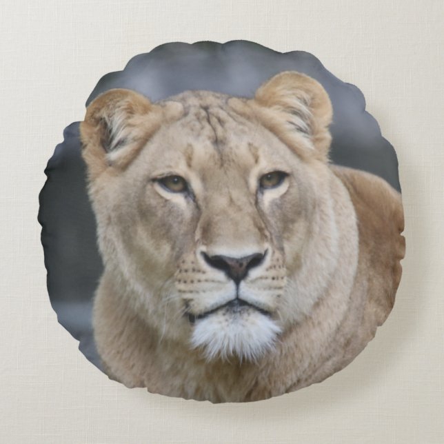 Lion 004 round cushion (Front)