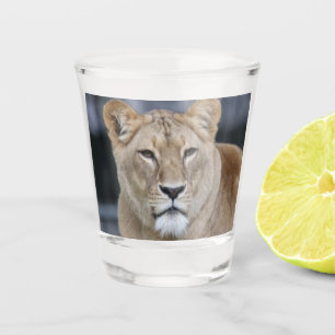 Lion 004 shot glass