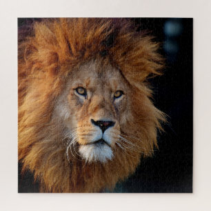 Lion 010 by JAMFoto Jigsaw Puzzle