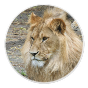 Lion 011 ceramic knob