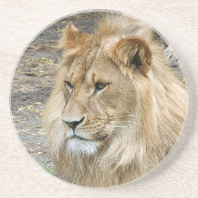 Lion 011 coaster (Front)