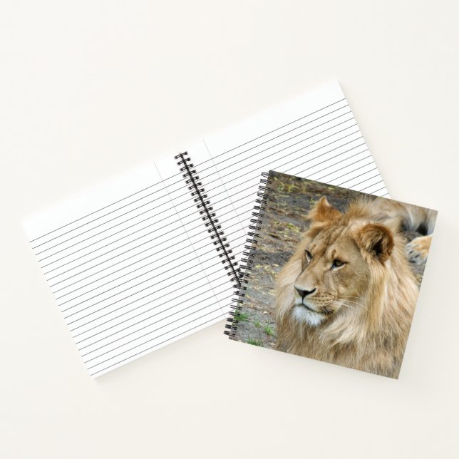 Lion 011 notebook (Inside)