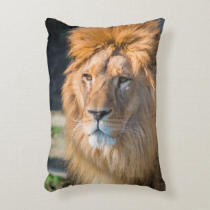 Lion 013 decorative cushion