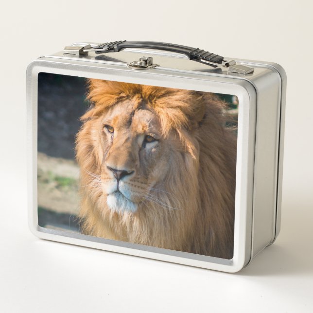 Lion 013 metal lunch box (Front)