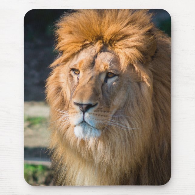 Lion 013 mouse pad (Front)