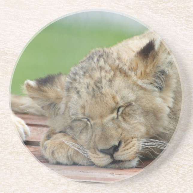 Lion 014 coaster (Front)