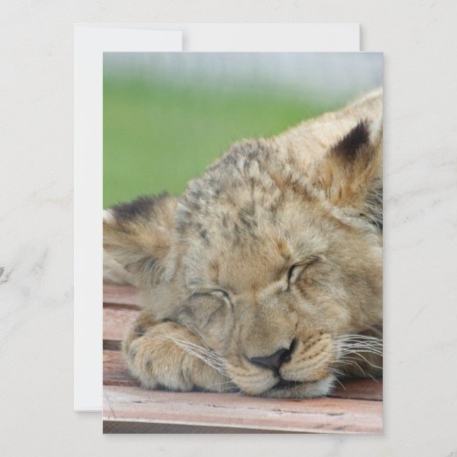Lion 014 holiday card (Front)