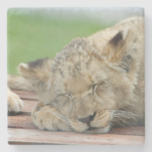 Lion 014 stone coaster