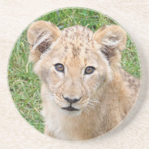 Lion 016 coaster
