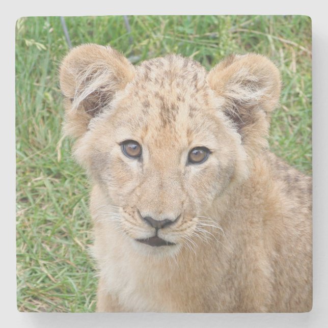 Lion 016 stone coaster (Front)