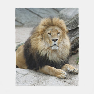Lion 020 fleece blanket