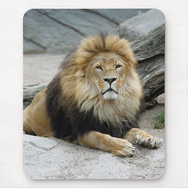 Lion 020 mouse pad (Front)