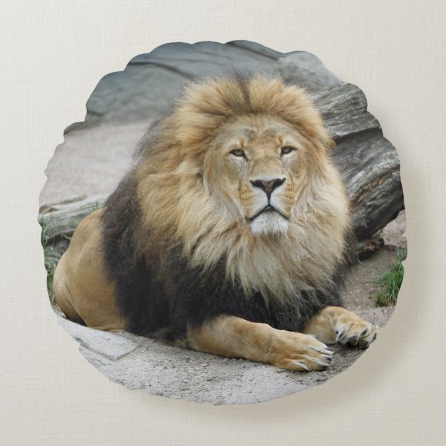 Lion 020 round cushion (Front)