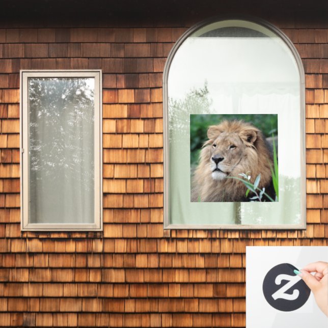 Lion 021 (Home Window)