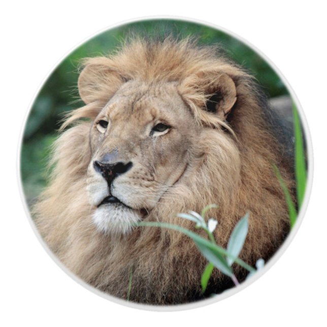 Lion 021 ceramic knob (Front)